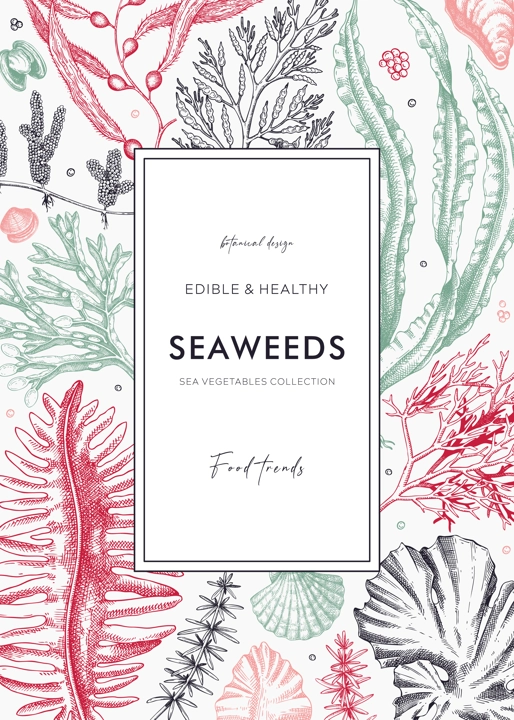 Hand-drawn seaweeds frame design. Edible algae in sketch style. Underwater plants vector illustration with kelp, wakame, kombu, and hijiki drawings. Healthy food ingredients banner for Asian cuisine